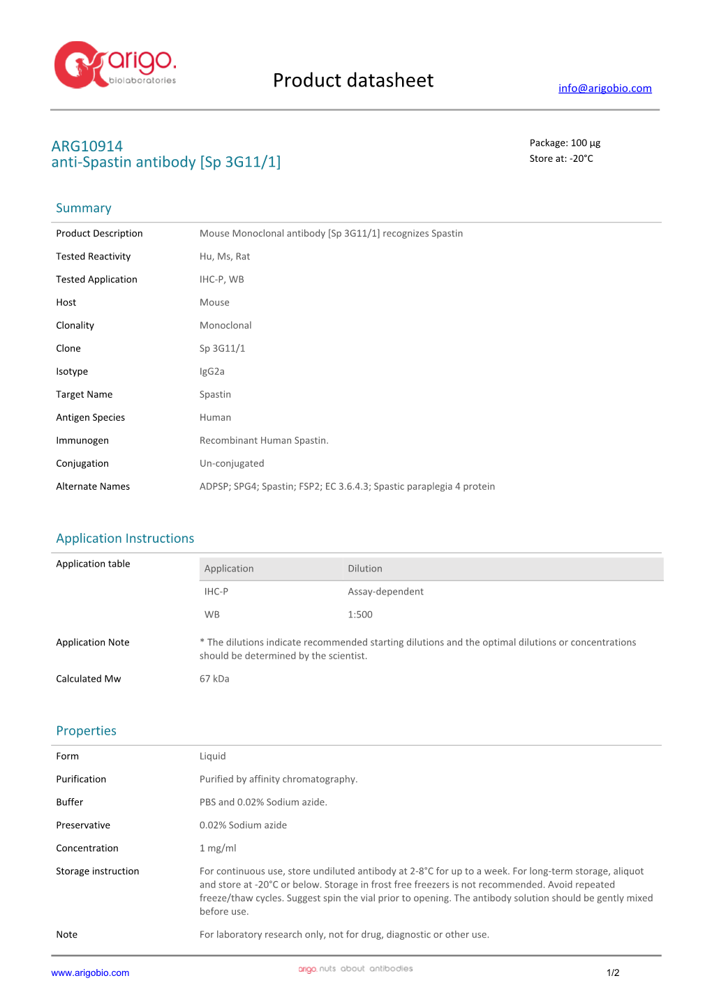 Anti-Spastin Antibody [Sp 3G11/1] (ARG10914)