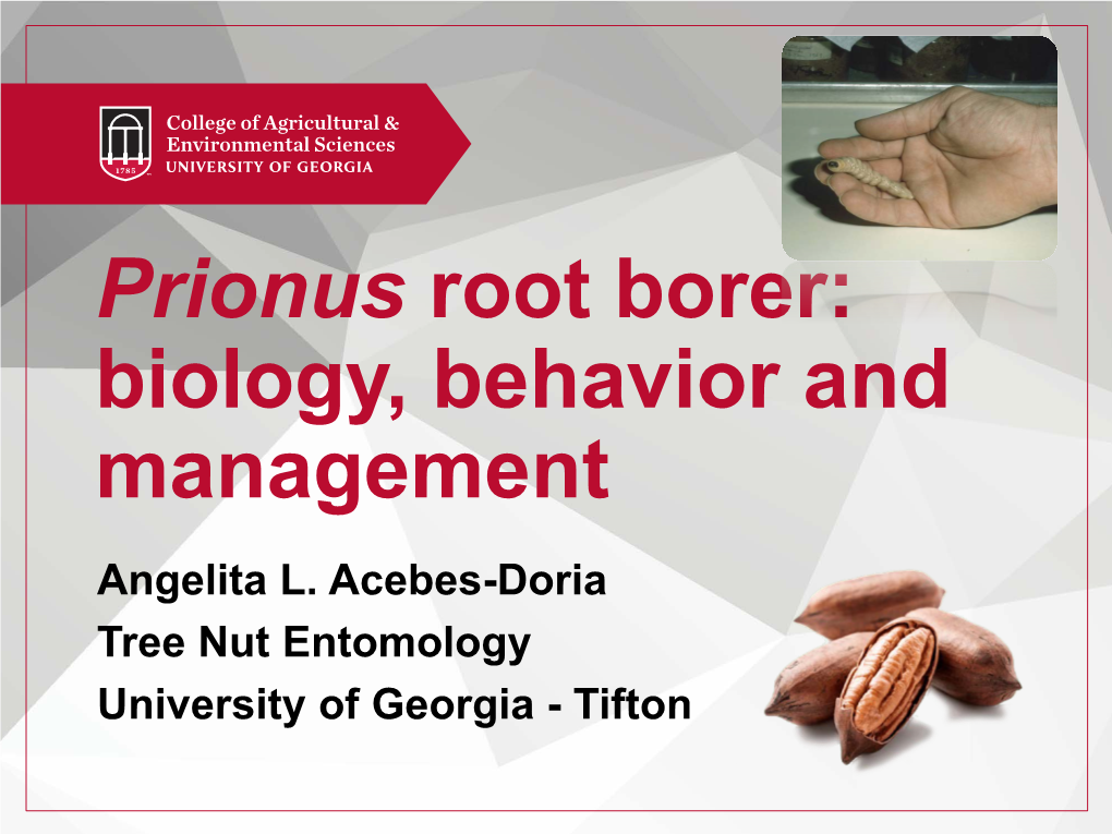 Prionus Root Borer: Biology, Behavior and Management Angelita L