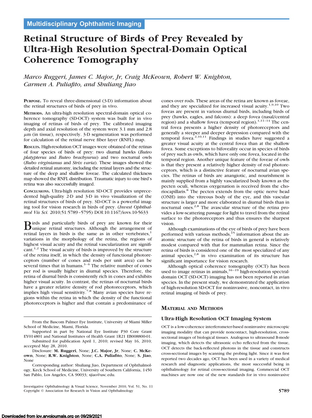 Retinal Structure of Birds of Prey Revealed by Ultra-High Resolution Spectral-Domain Optical Coherence Tomography