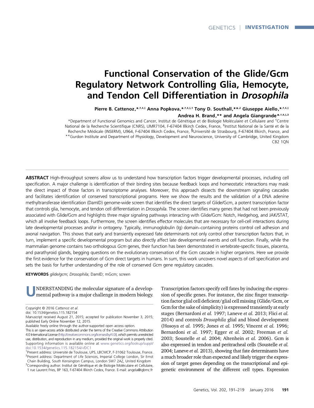 Functional Conservation of the Glide/Gcm Regulatory Network Controlling Glia, Hemocyte, and Tendon Cell Differentiation in Drosophila