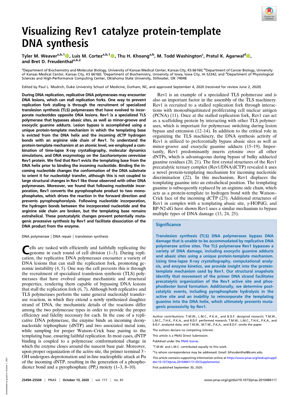 Visualizing Rev1 Catalyze Protein-Template DNA Synthesis