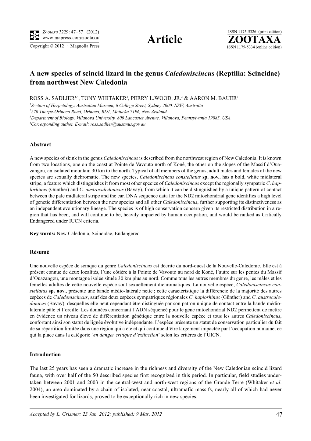 A New Species of Scincid Lizard in the Genus Caledoniscincus (Reptilia: Scincidae) from Northwest New Caledonia