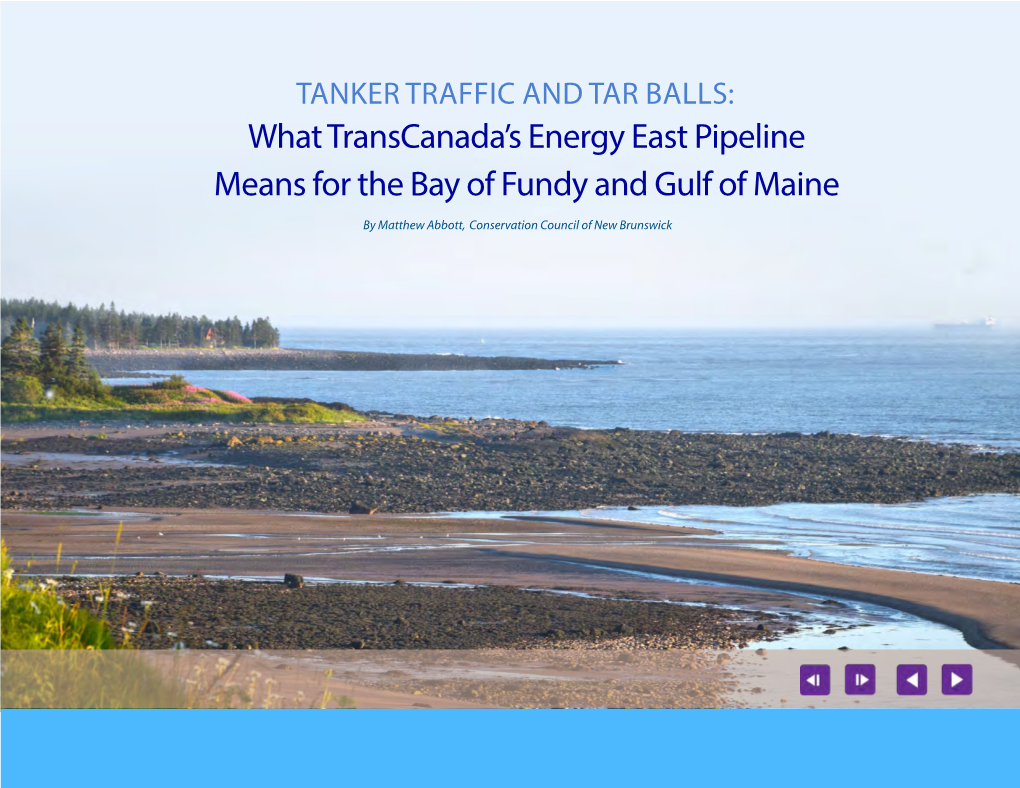 What Transcanada's Energy East Pipeline Means for the Bay of Fundy