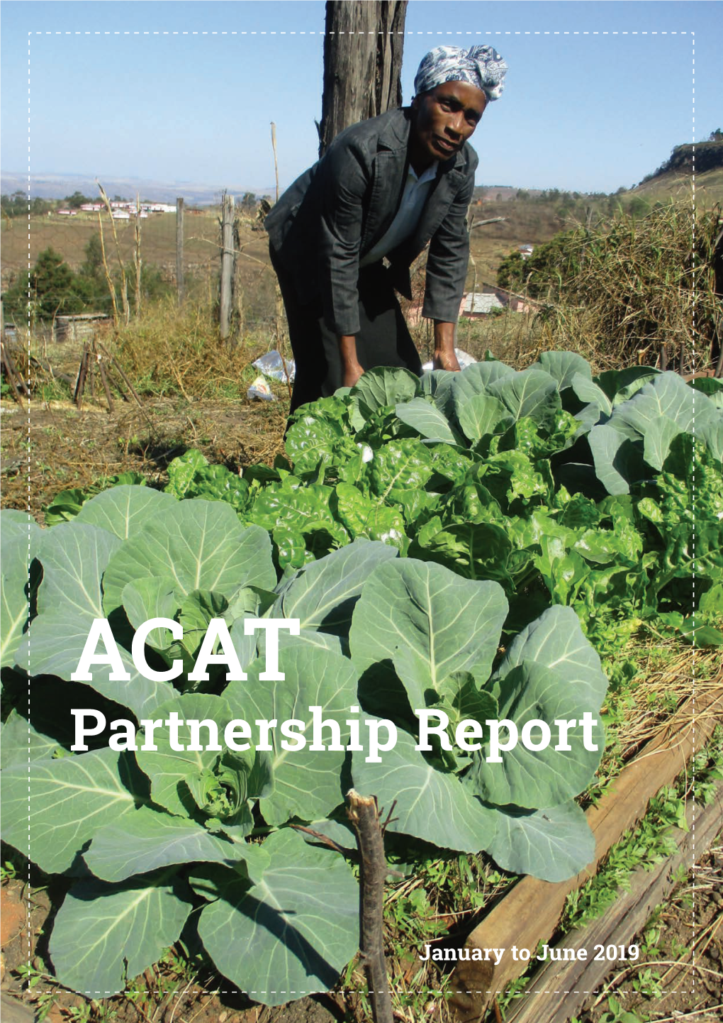 ACAT Partnership Report | 6M 2019