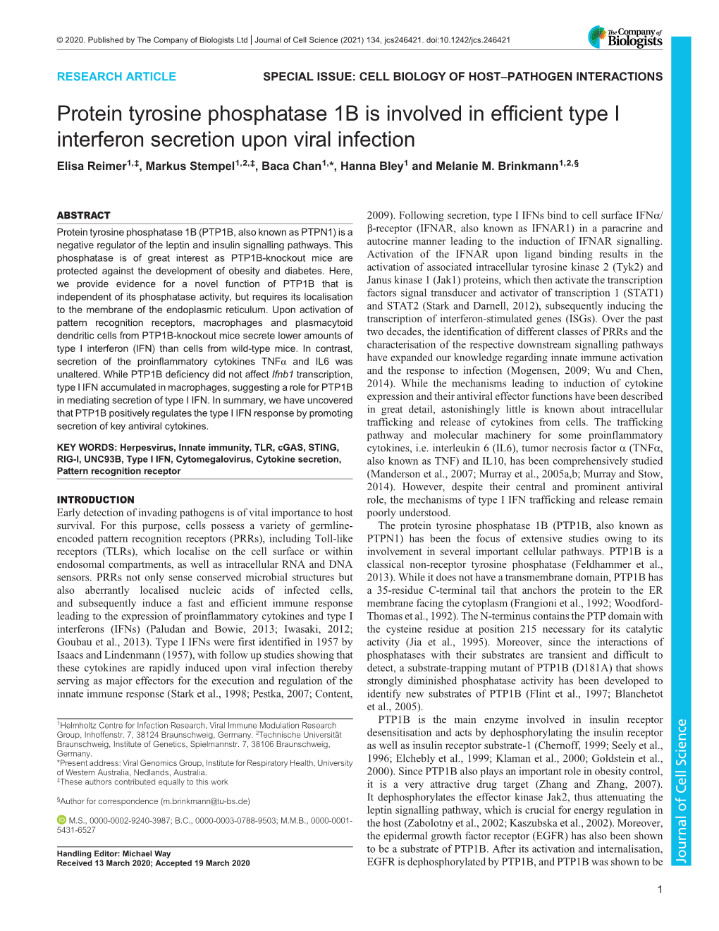 Protein Tyrosine Phosphatase 1B Is Involved in Efficient Type I Interferon