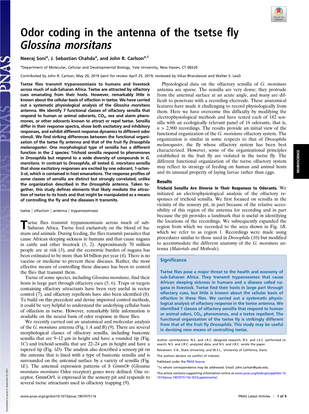 Odor Coding in the Antenna of the Tsetse Fly Glossina Morsitans