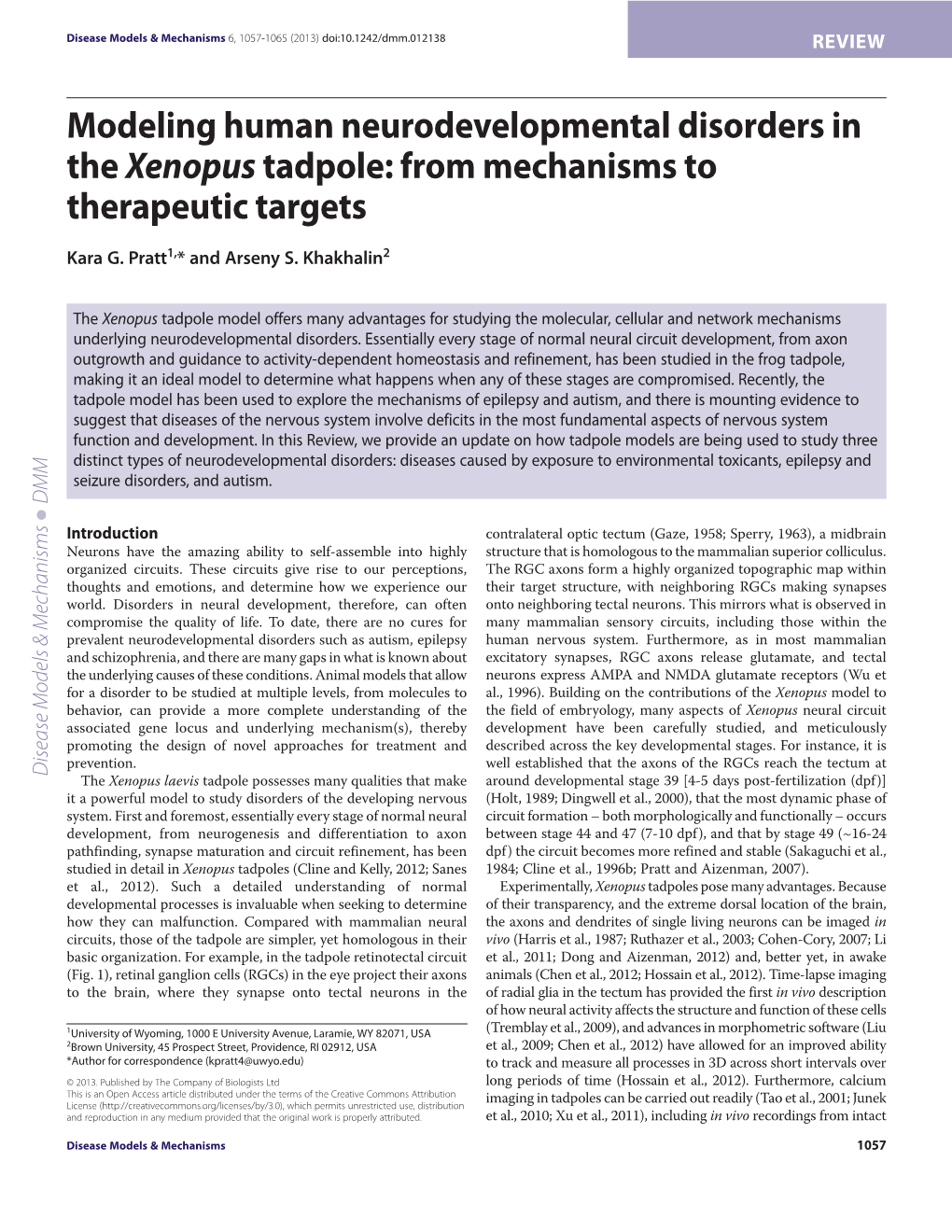 Modeling Human Neurodevelopmental Disorders in the Xenopus Tadpole: from Mechanisms to Therapeutic Targets