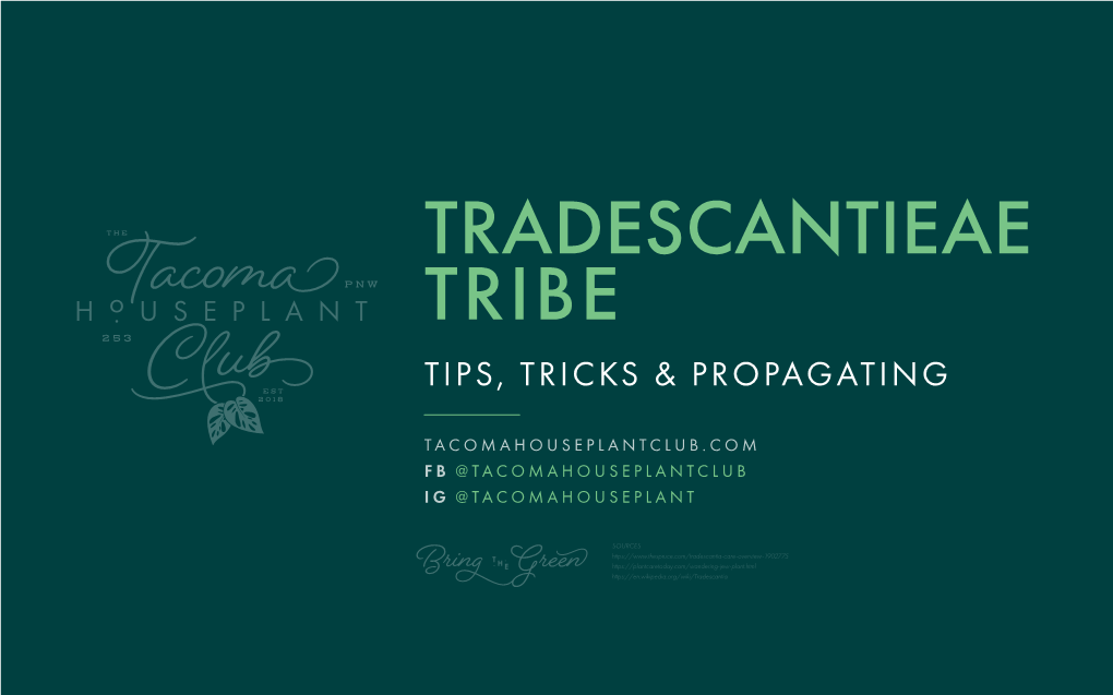 Tips, Tricks & Propagating