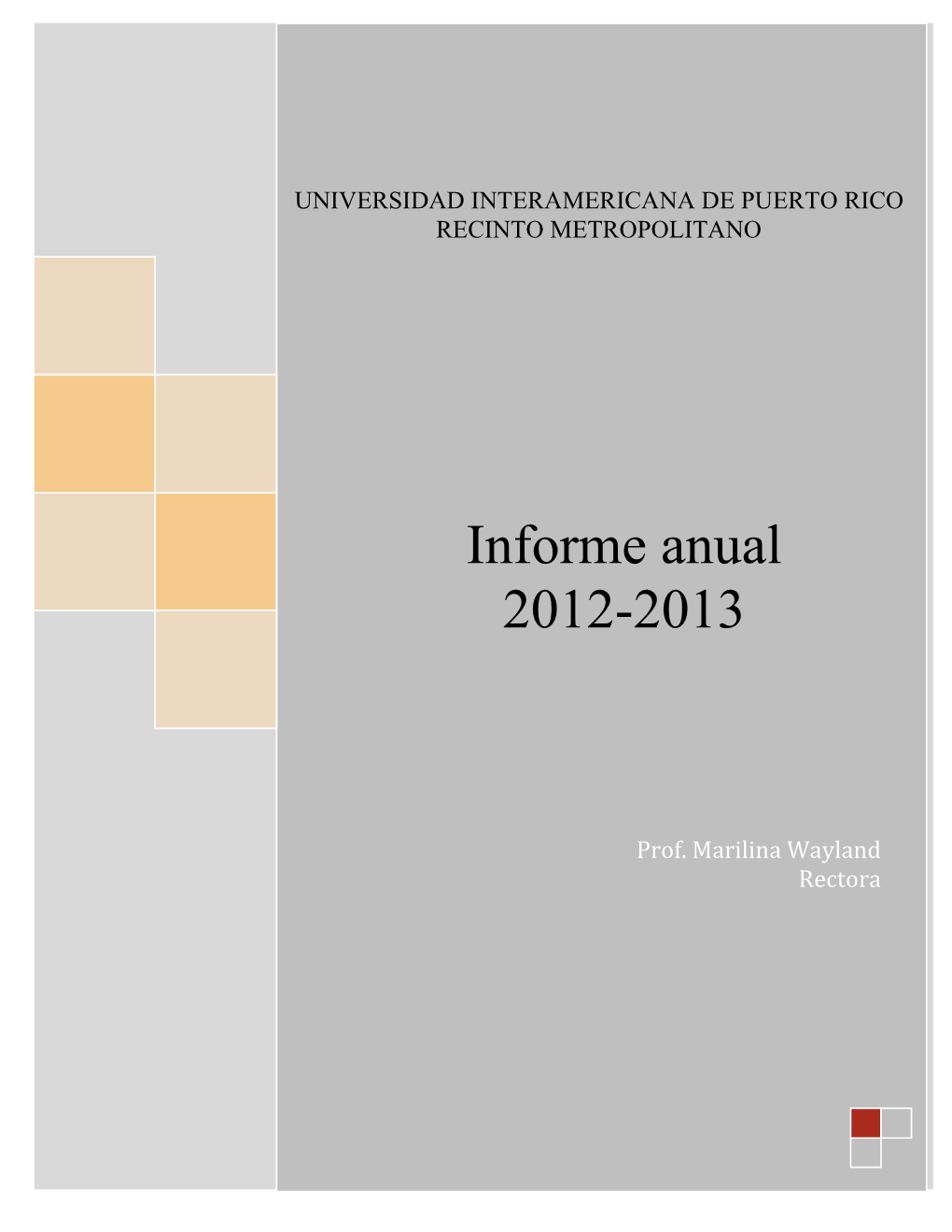 Informe Anual 2012-2013 Recinto Metro 1