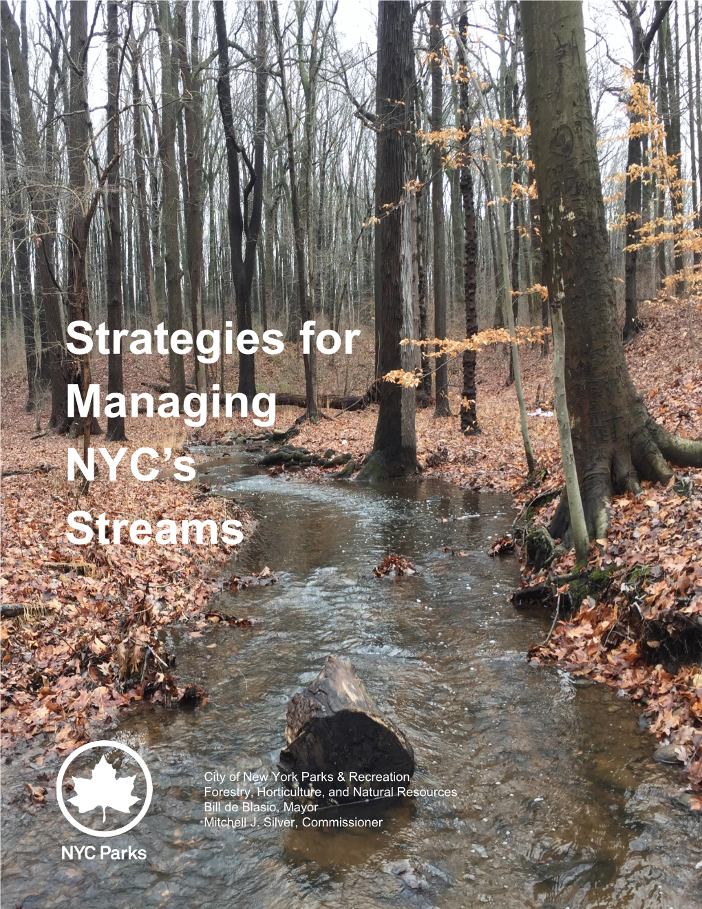 Strategies for Managing NYC's Streams