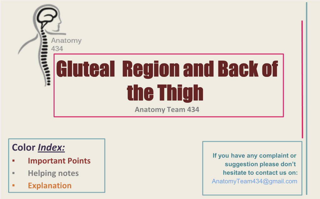 Gluteal Region and Back of the Thigh Anatomy Team 434