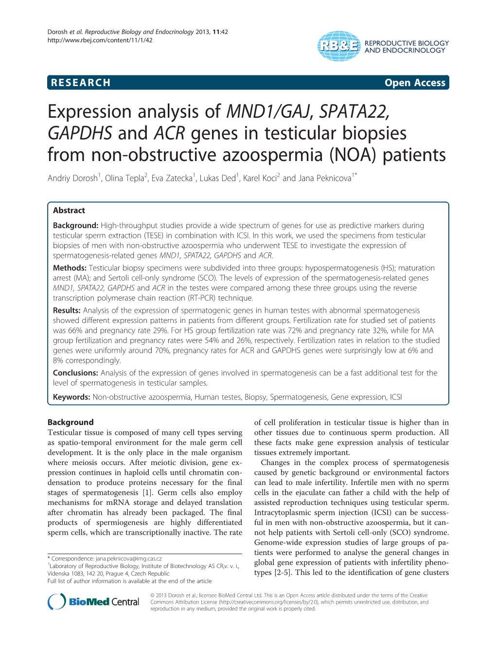 Expression Analysis of MND1/GAJ, SPATA22, GAPDHS and ACR