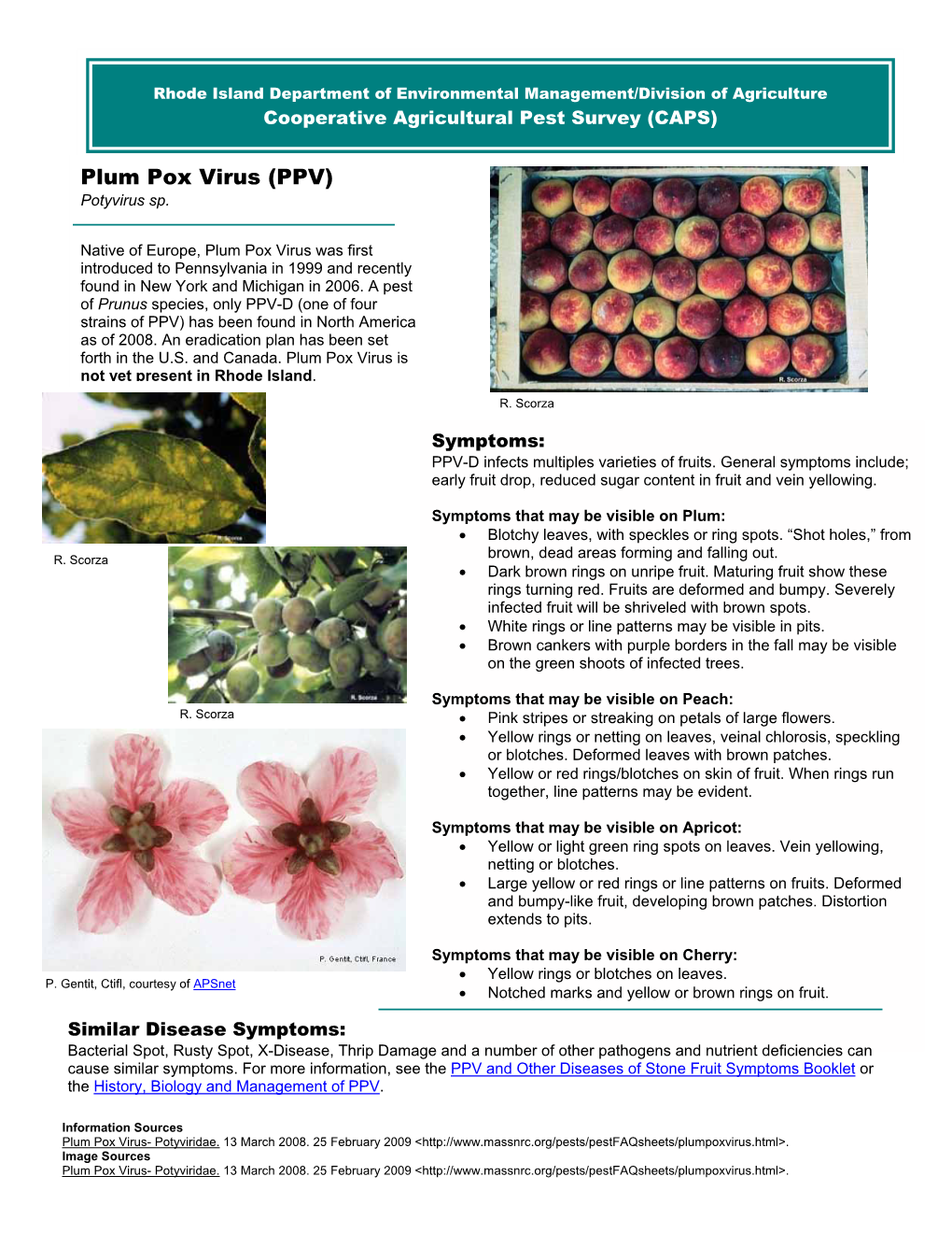 Plum Pox Virus (PPV) Potyvirus Sp