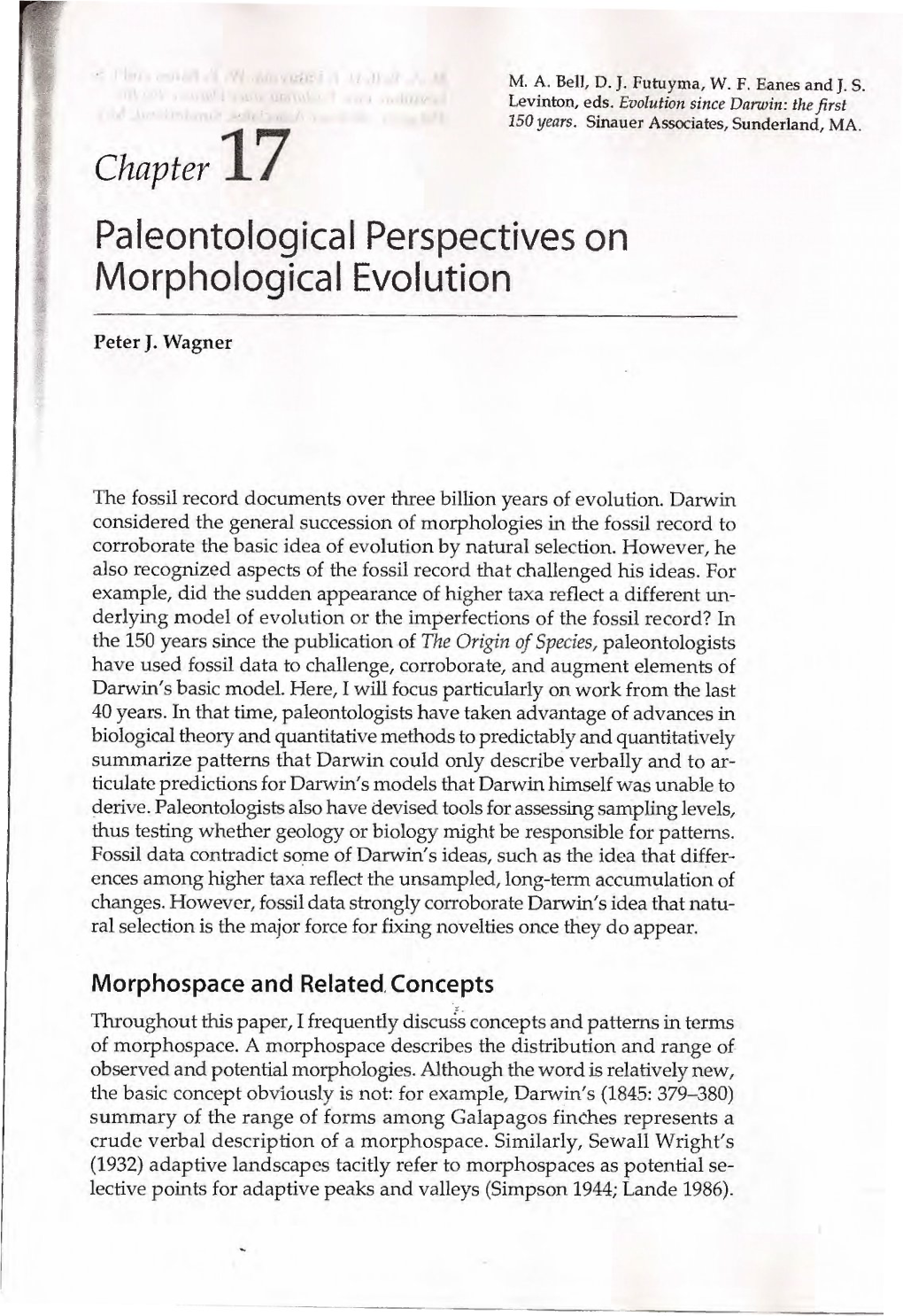 Paleontologies! Perspectives on Morphological Evolution