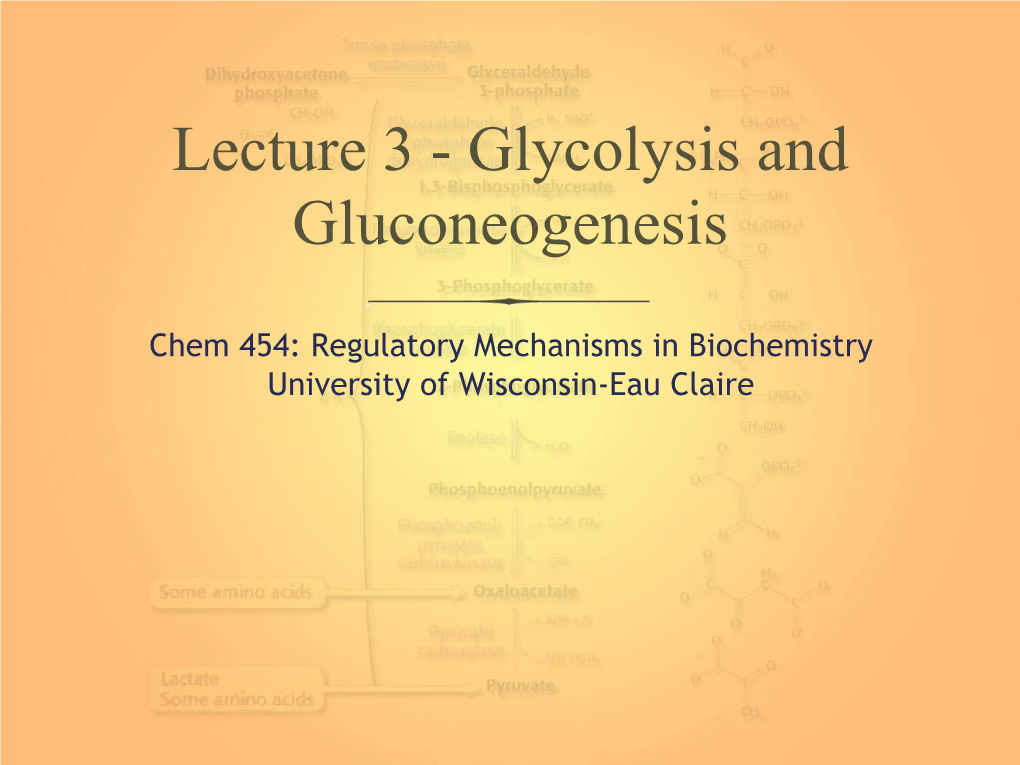 Lecture 3 - Glycolysis and Gluconeogenesis