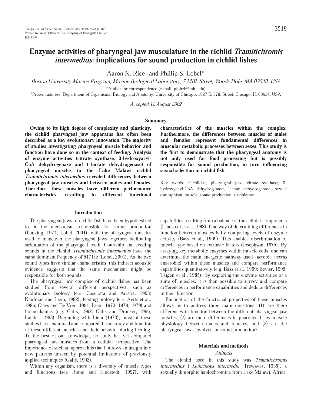 Enzyme Activities of Pharyngeal Jaw Musculature in the Cichlid Tramitichromis Intermedius: Implications for Sound Production in Cichlid Fishes