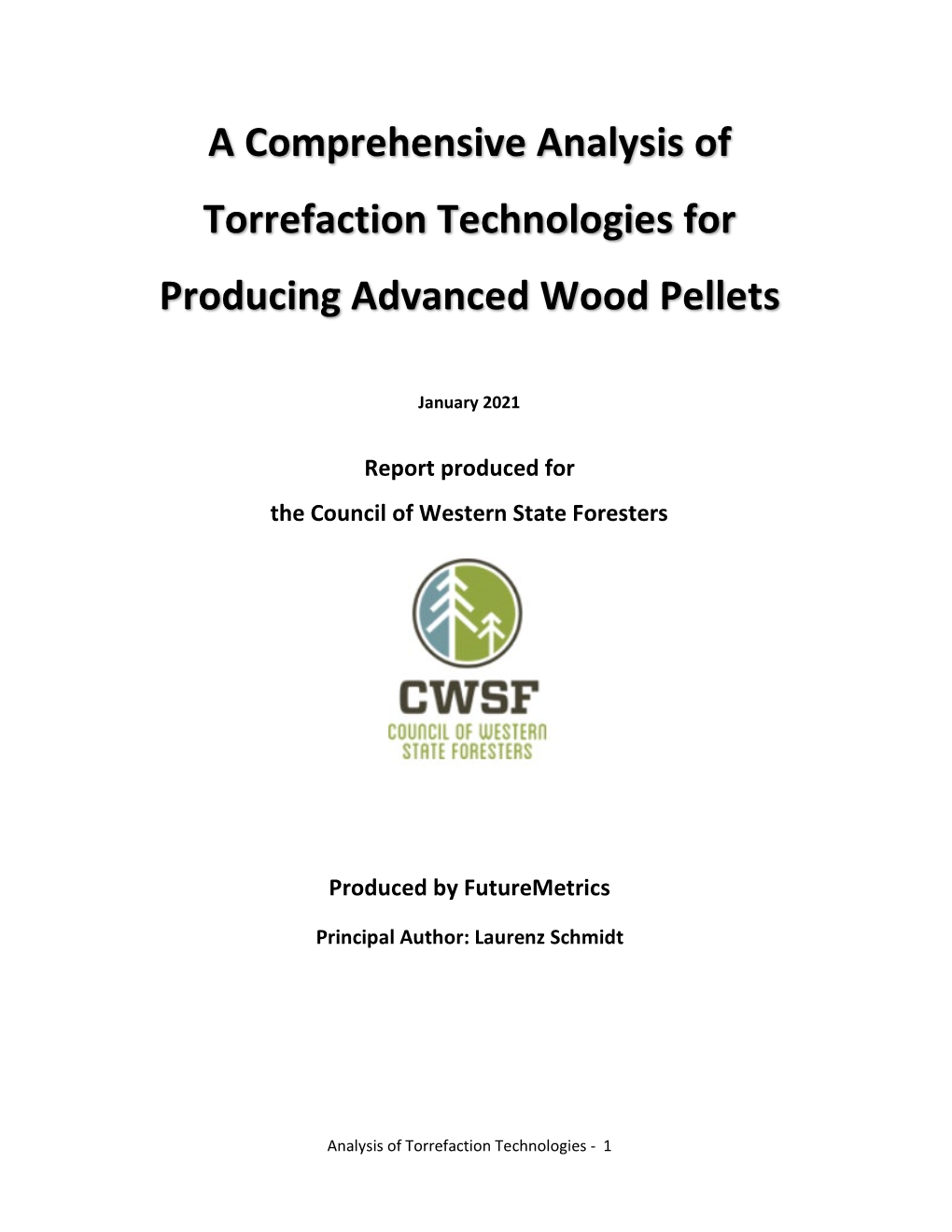 A Comprehensive Analysis of Torrefaction Technologies for Producing Advanced Wood Pellets