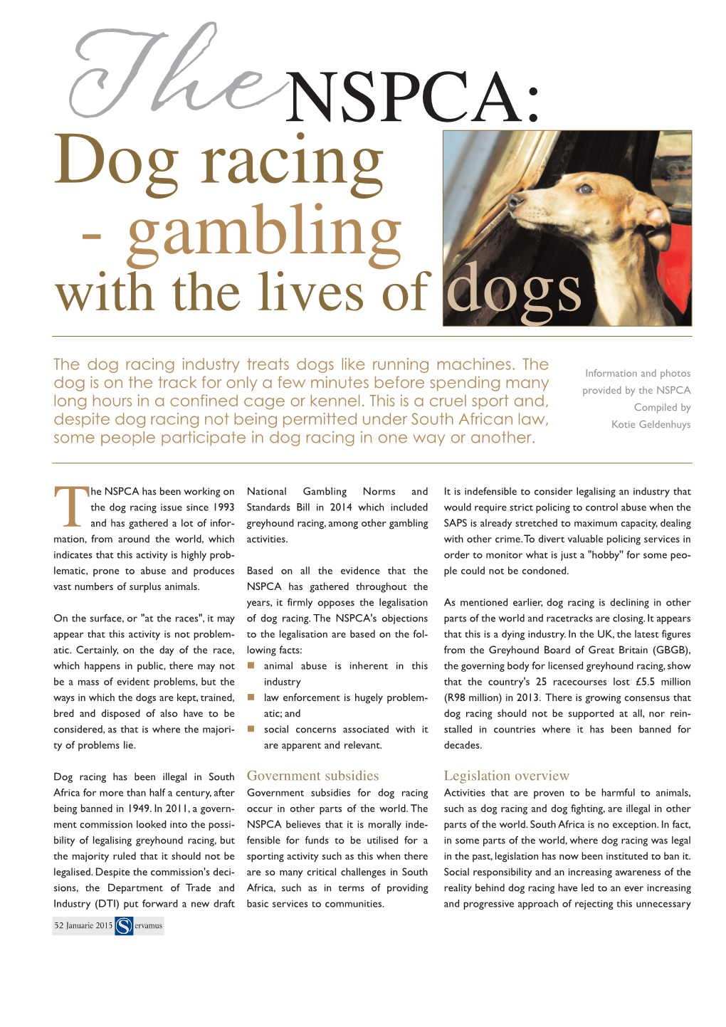 Dog Racing - Gambling with the Lives of Dogs