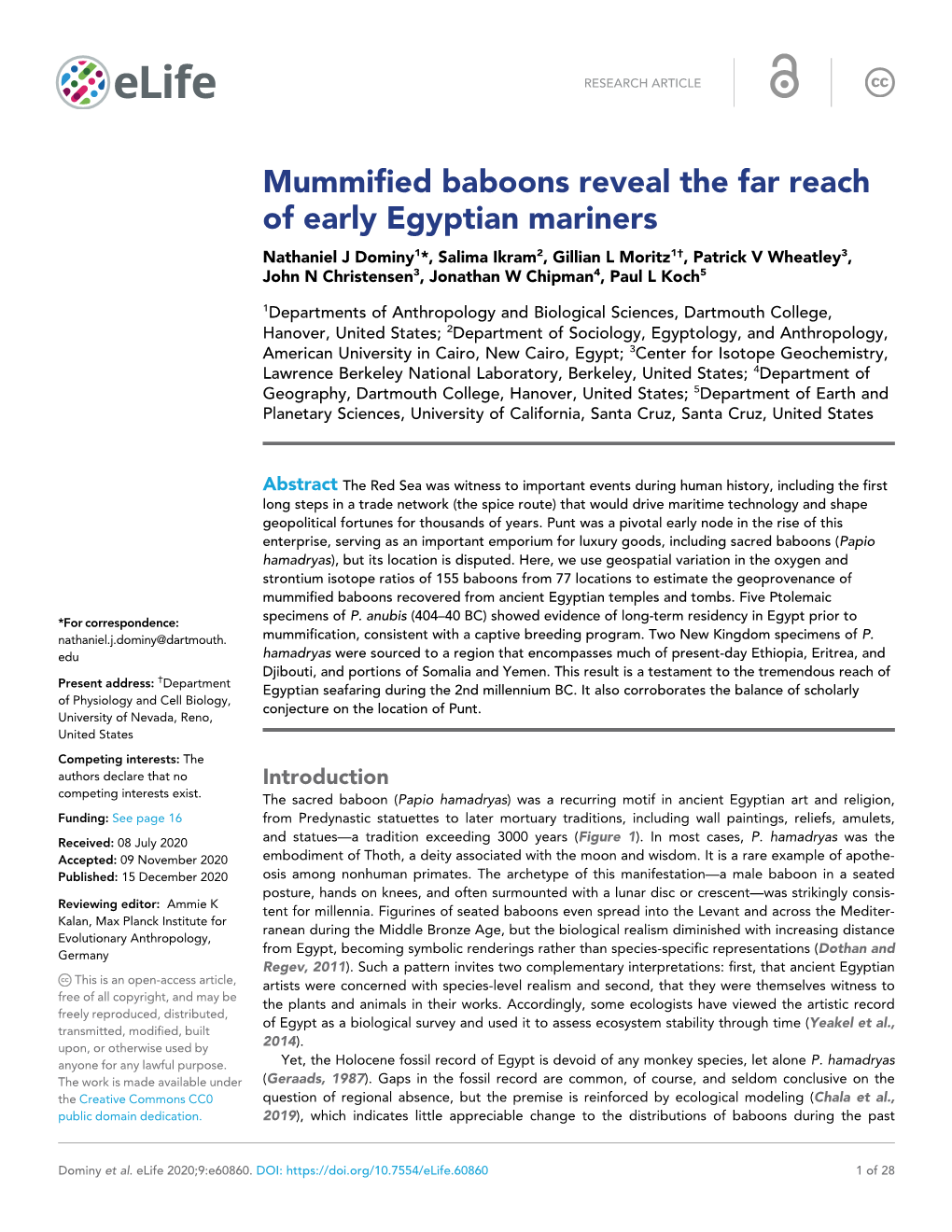 Mummified Baboons Reveal the Far Reach of Early Egyptian Mariners