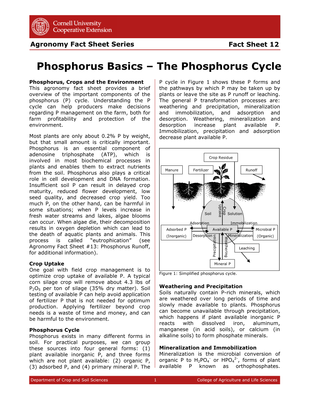 The Phosphorus Cycle