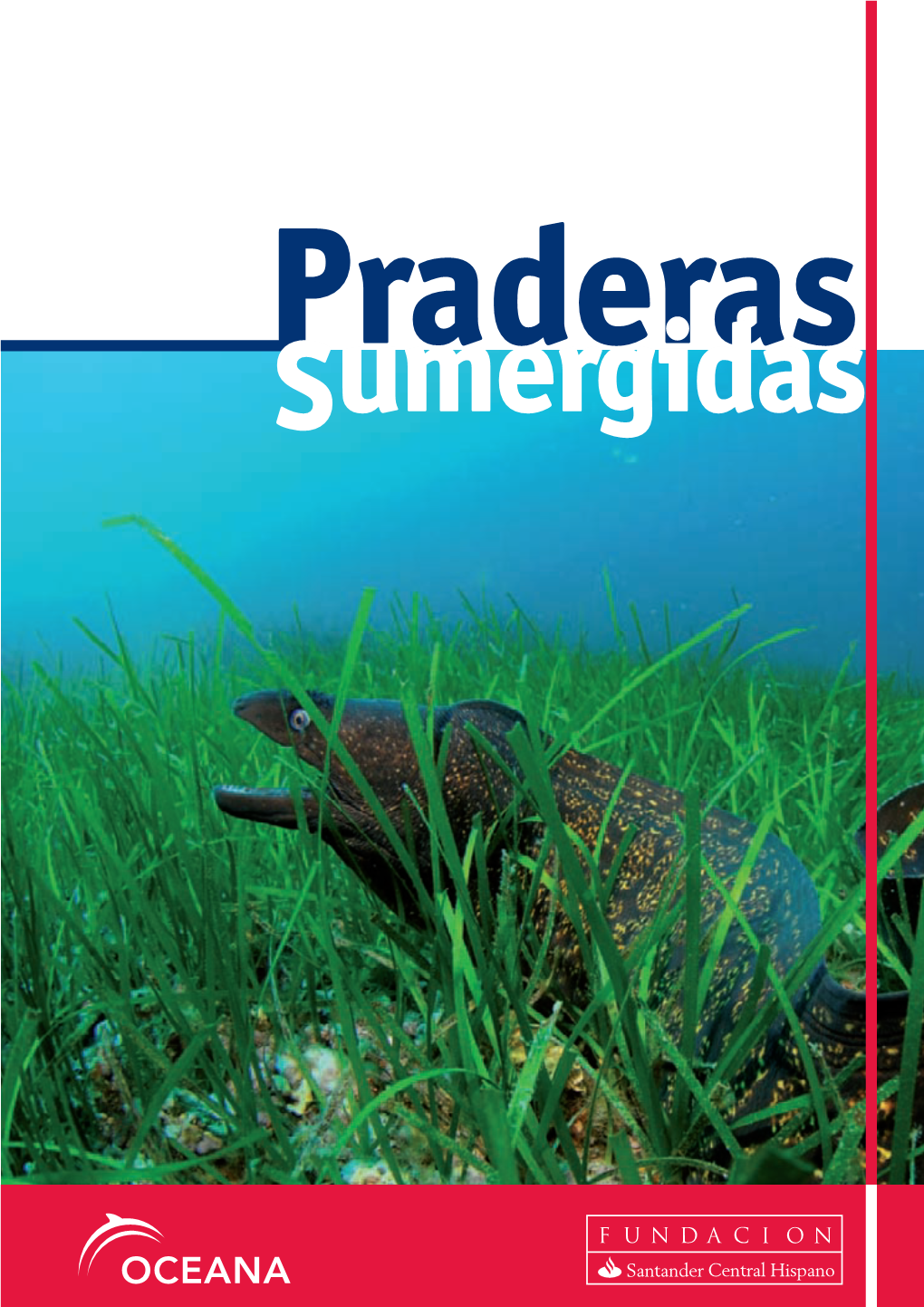 Praderas Sumergidas