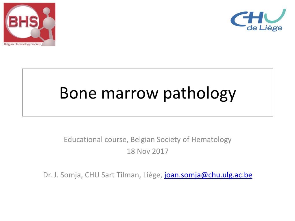 Bone Marrow Pathology