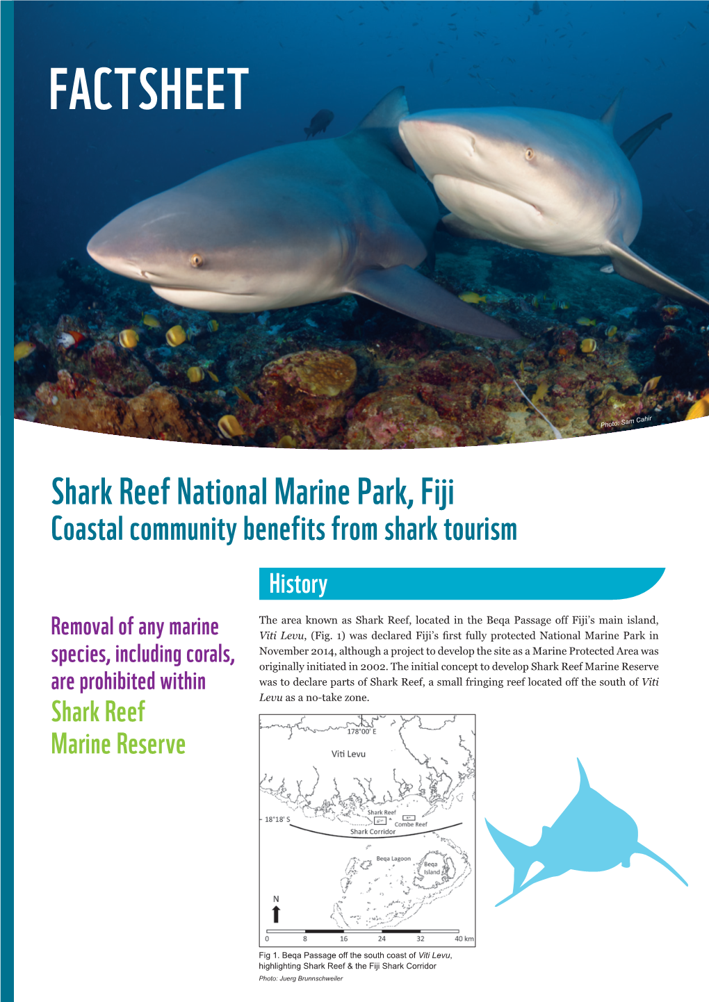 Shark Reef Marine Reserve