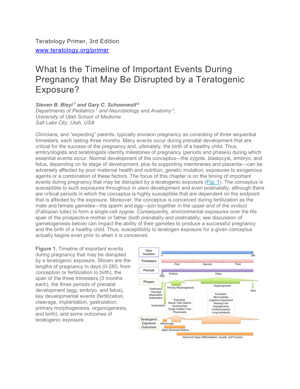 What Is the Timeline of Important Events During Pregnancy That May Be Disrupted by a Teratogenic Exposure?