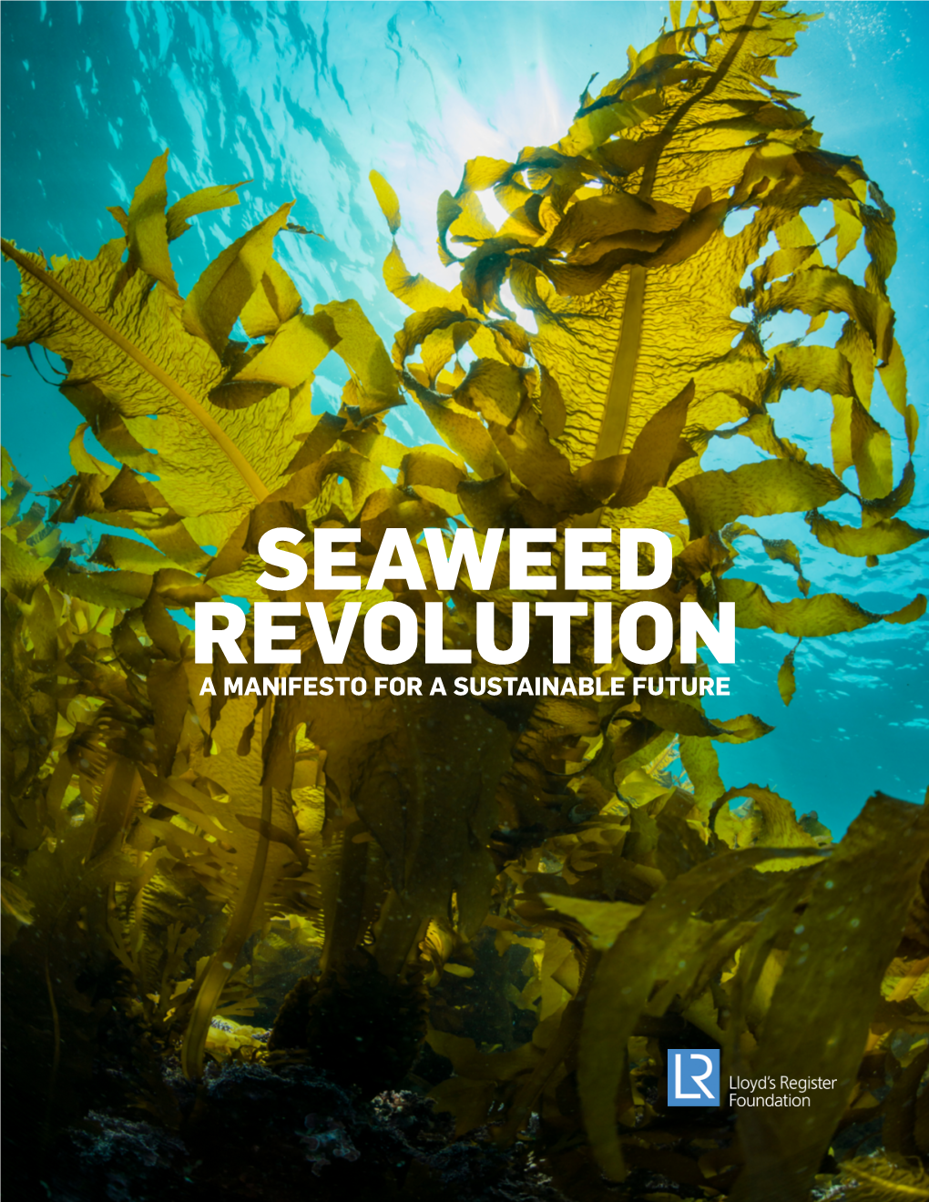 Seaweed Revolution: a Manifesto for a Sustainable Future