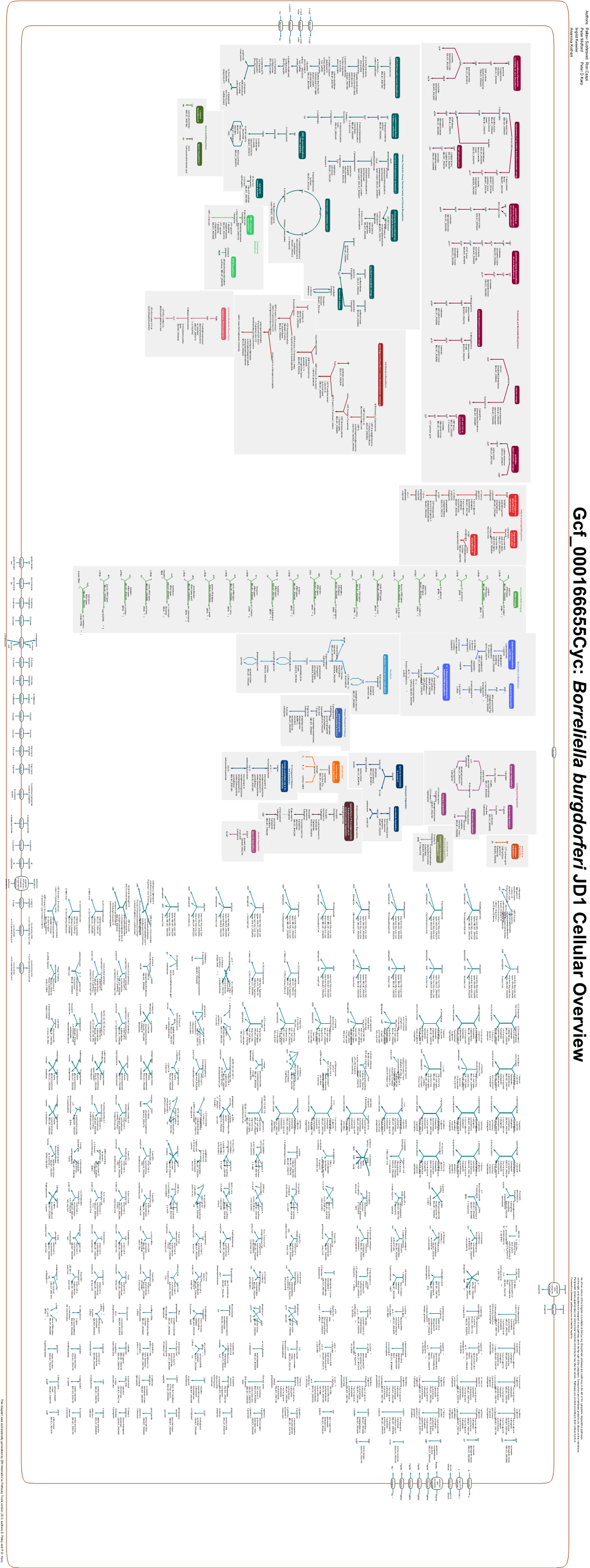 Generated by SRI International Pathway Tools Version 25.0, Authors S