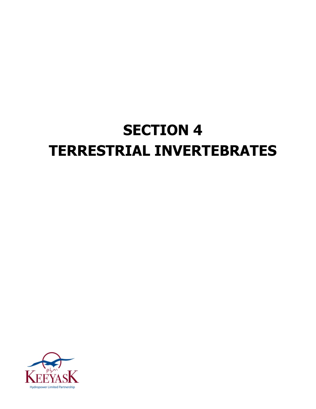 Terrestrial Invertebrates
