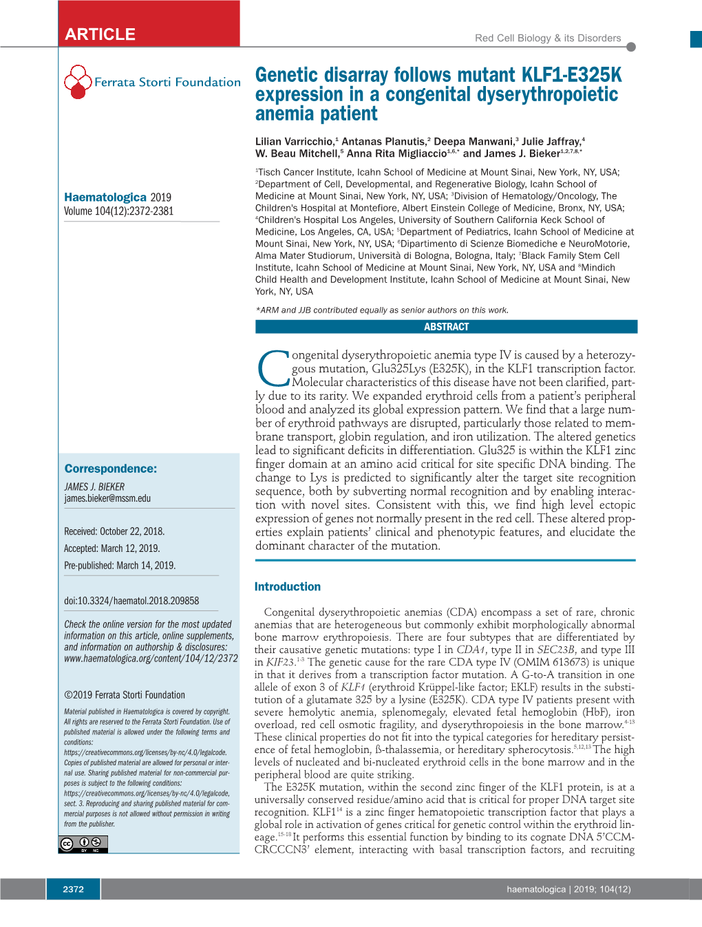 Genetic Disarray Follows Mutant KLF1-E325K Expression in A