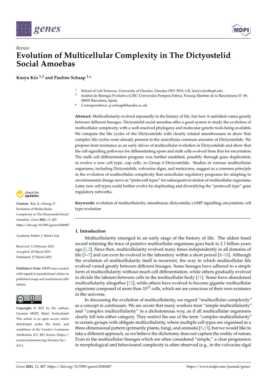 Evolution of Multicellular Complexity in the Dictyostelid Social Amoebas