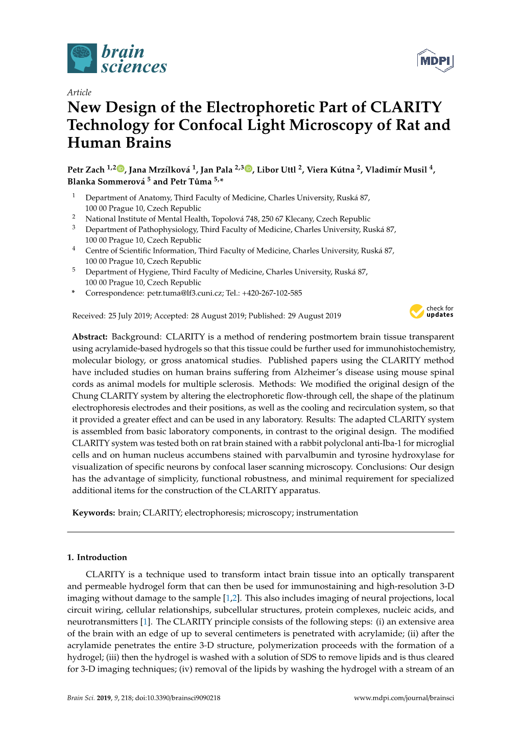 New Design of the Electrophoretic Part of CLARITY Technology for Confocal Light Microscopy of Rat and Human Brains