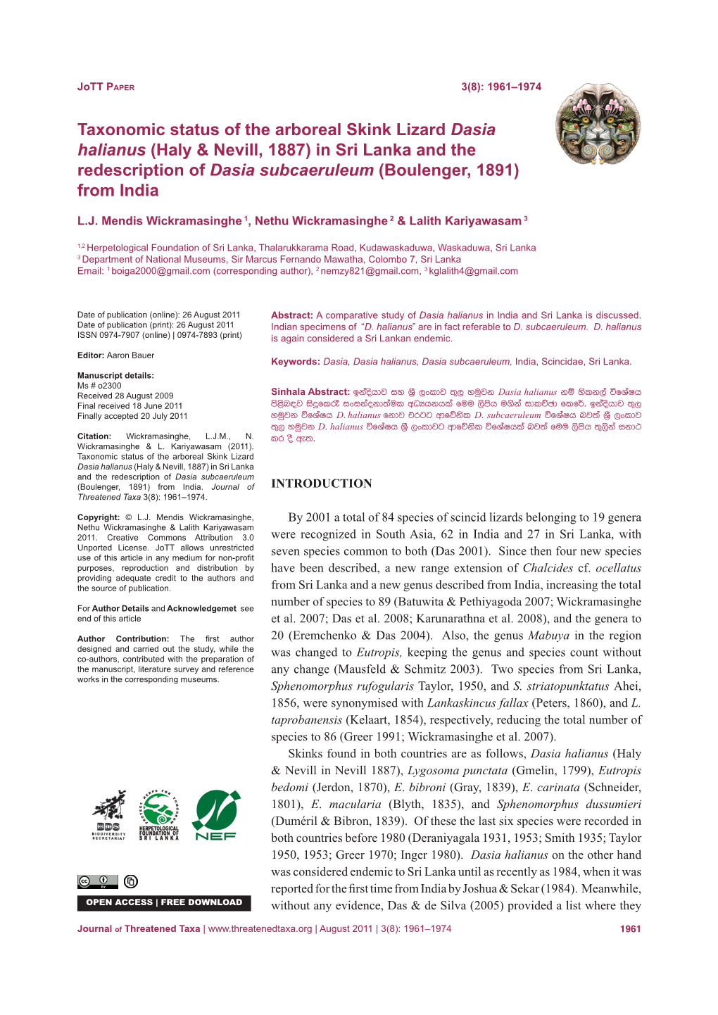 Taxonomic Status of the Arboreal Skink Lizard Dasia Halianus (Haly