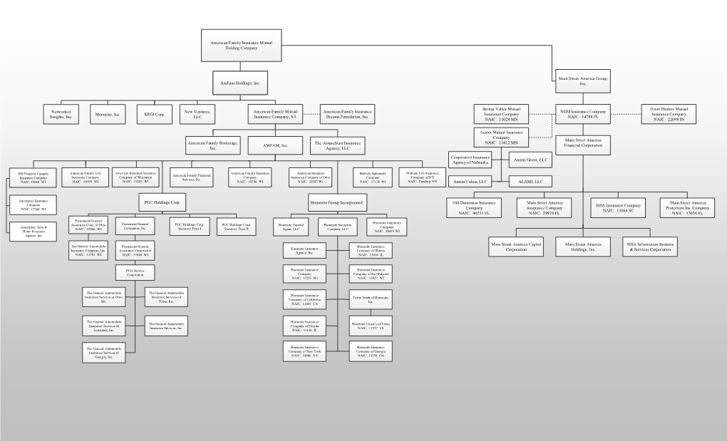 Post-Acquisition Organization Chart of AFI