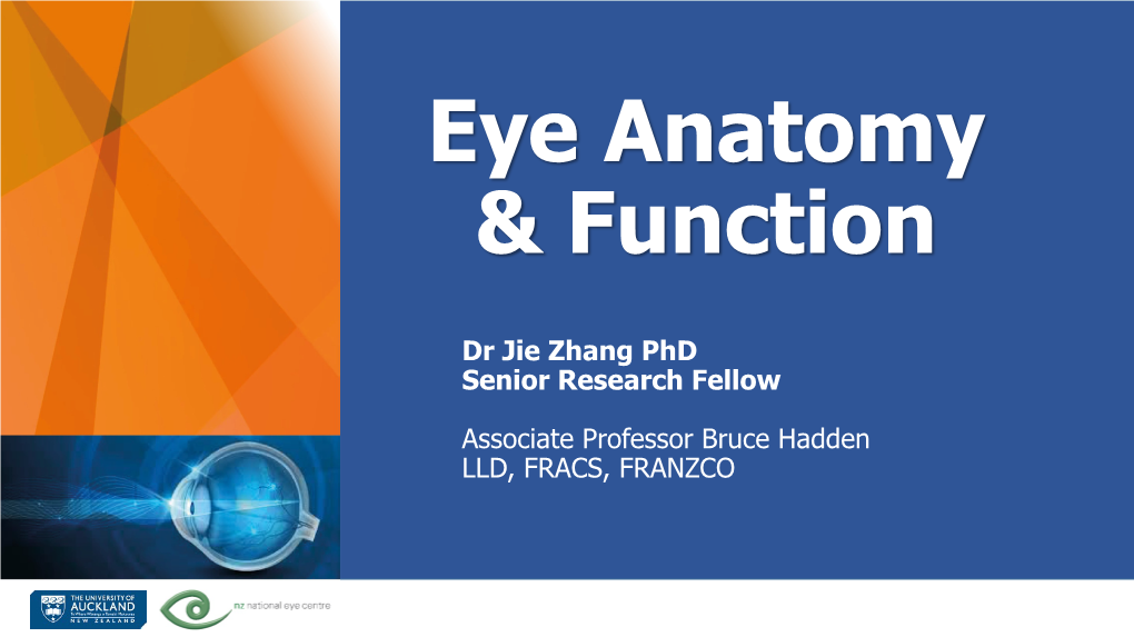 Eye Anatomy & Function