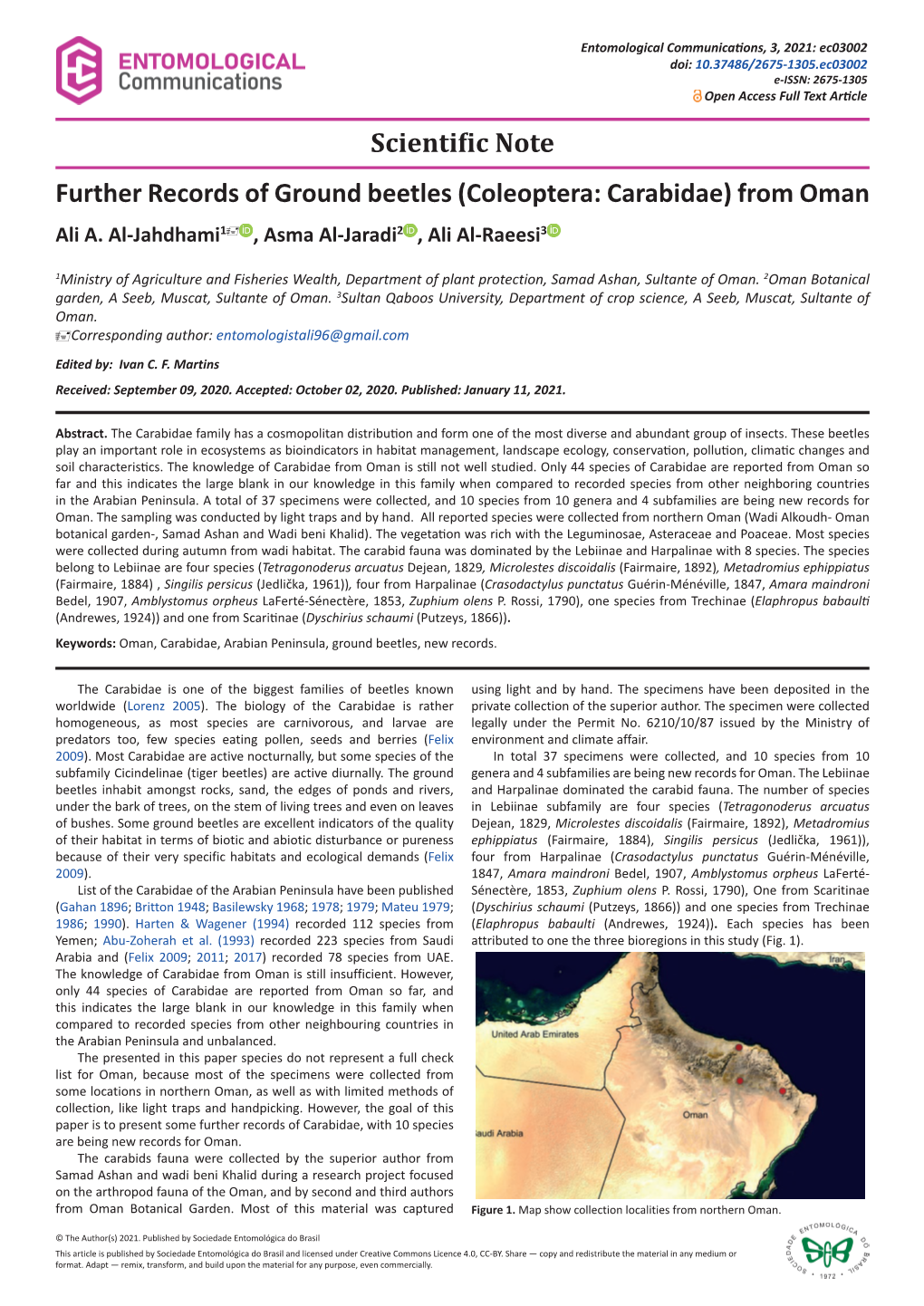 Coleoptera: Carabidae) from Oman Ali A