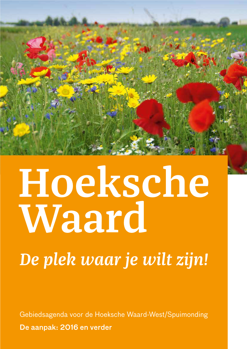 De Plek Waar Je Wilt Zijn!