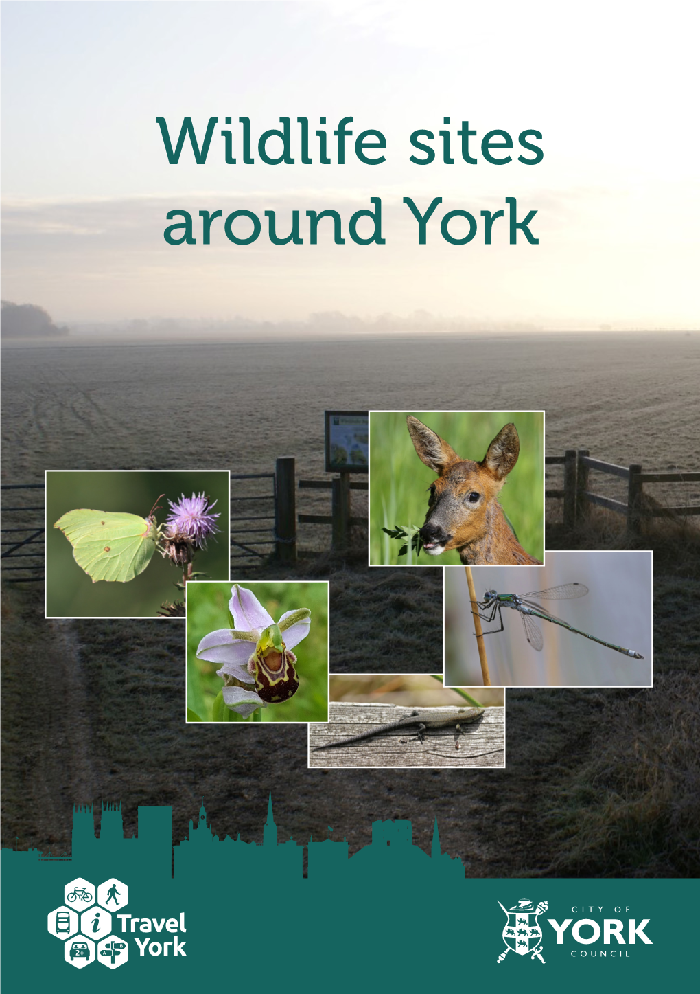 Wildlife Walks