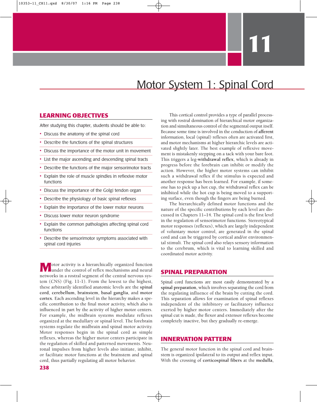 Motor System 1: Spinal Cord
