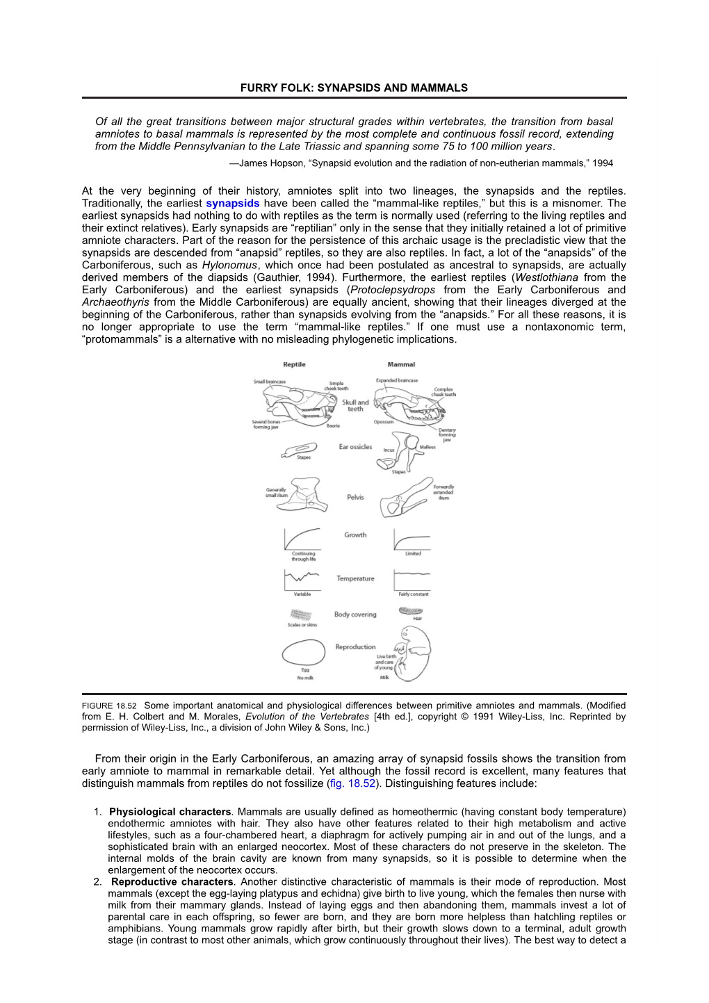 Furry Folk: Synapsids and Mammals