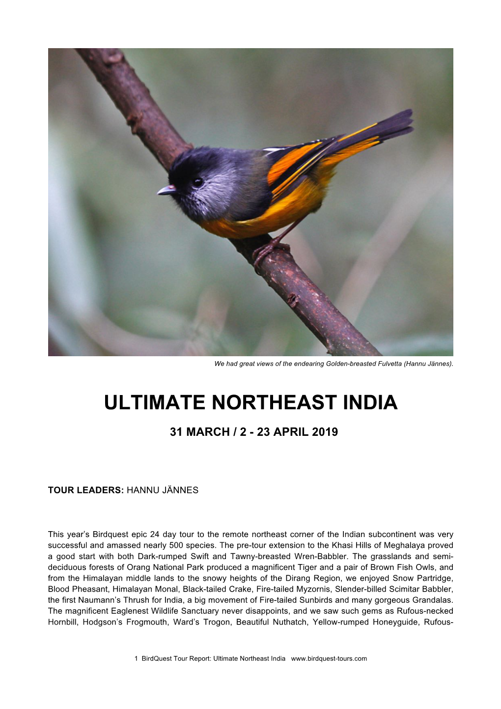 Ultimate Northeast India