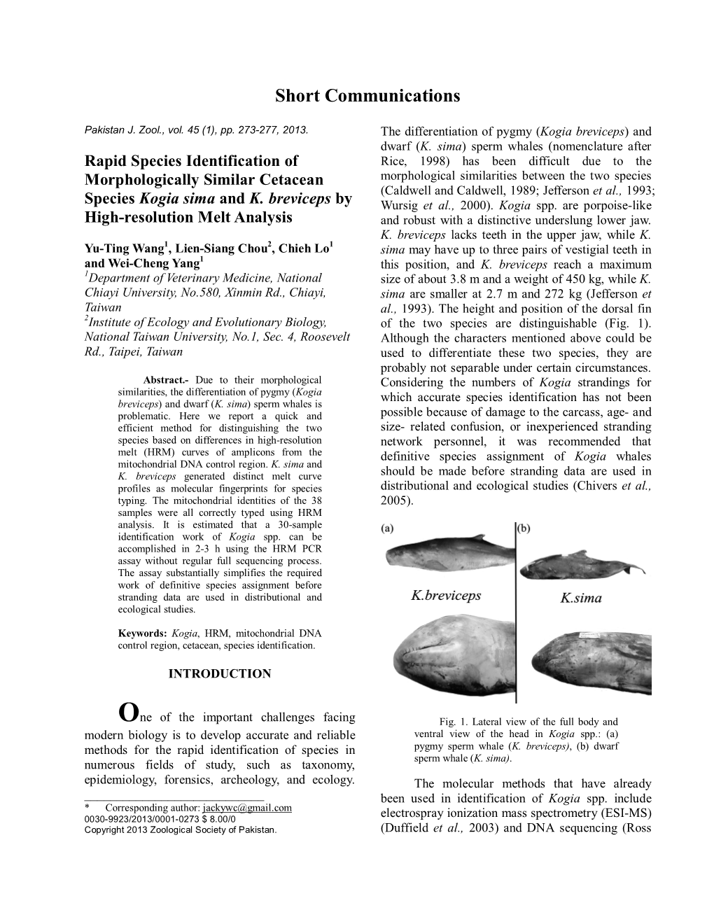 Short Communications Rapid Species Identification of Morphologically