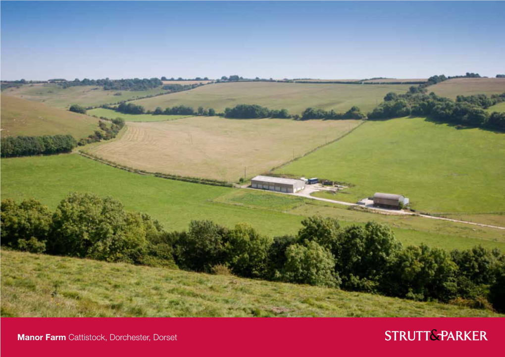 Manor Farm Cattistock, Dorchester, Dorset