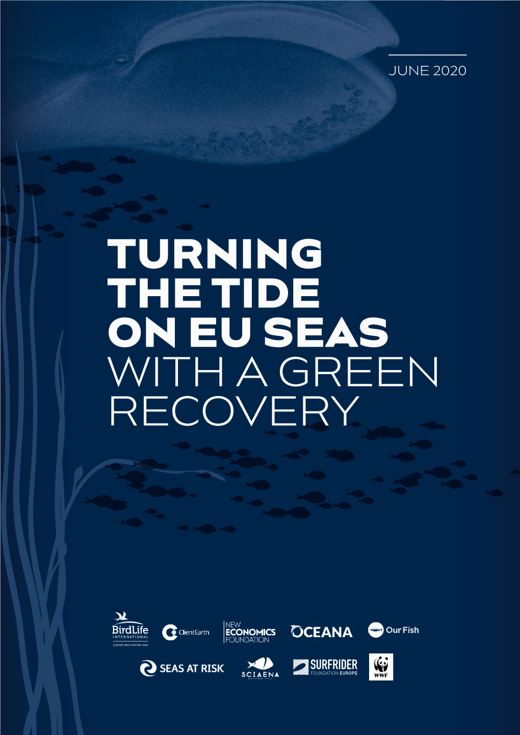 Turning the Tide on Eu Seas with a Green Recovery — June 2020 —