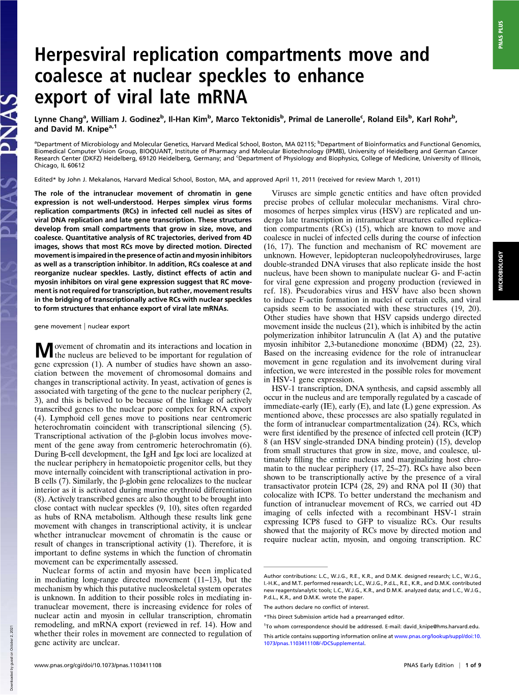 Herpesviral Replication Compartments Move and Coalesce at Nuclear