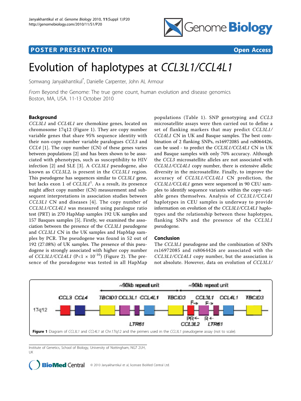 Evolution of Haplotypes at CCL3L1/CCL4L1