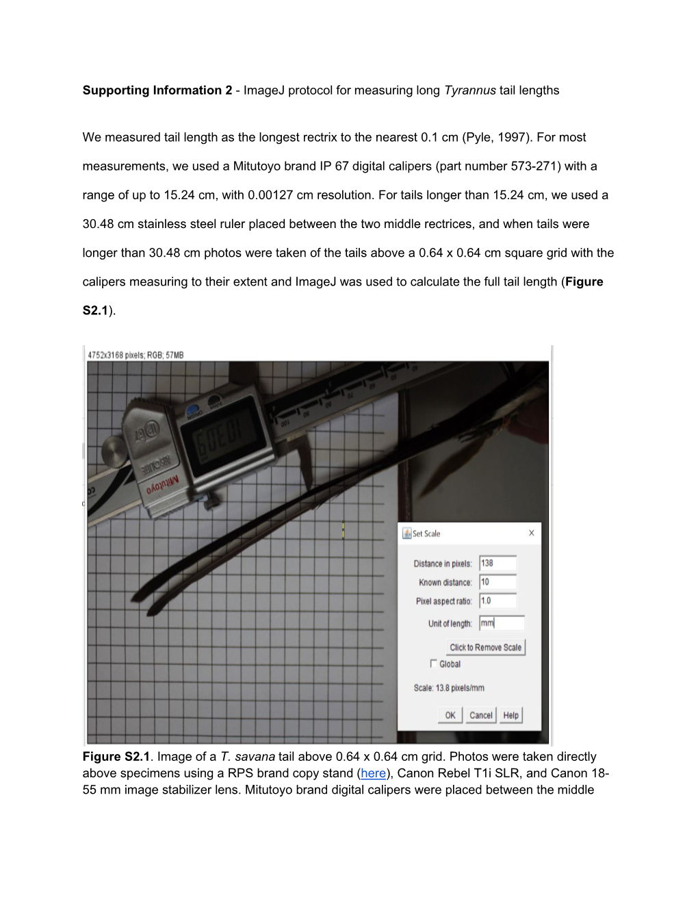 Supporting Information 2 - Imagej Protocol for Measuring Long Tyrannus Tail Lengths