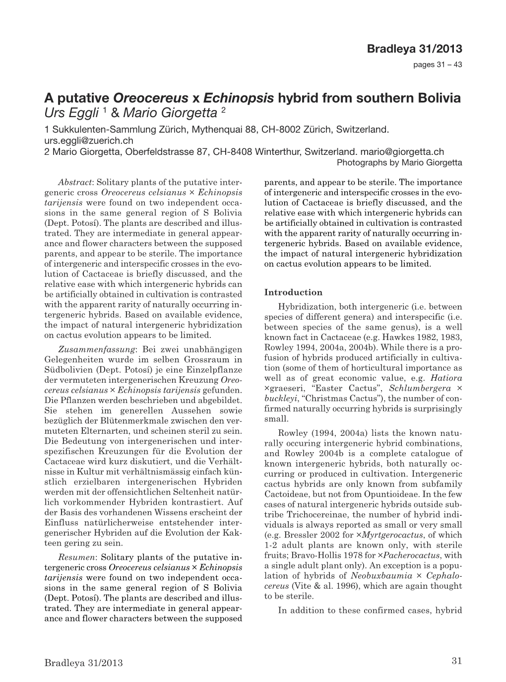 A Putative Oreocereus X Echinopsis Hybrid from Southern Bolivia